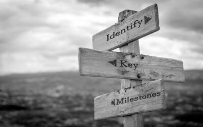 Importance of Celebrating Milestones