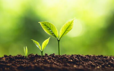 Reflecting on the Year and Personal Growth in Addiction Recovery