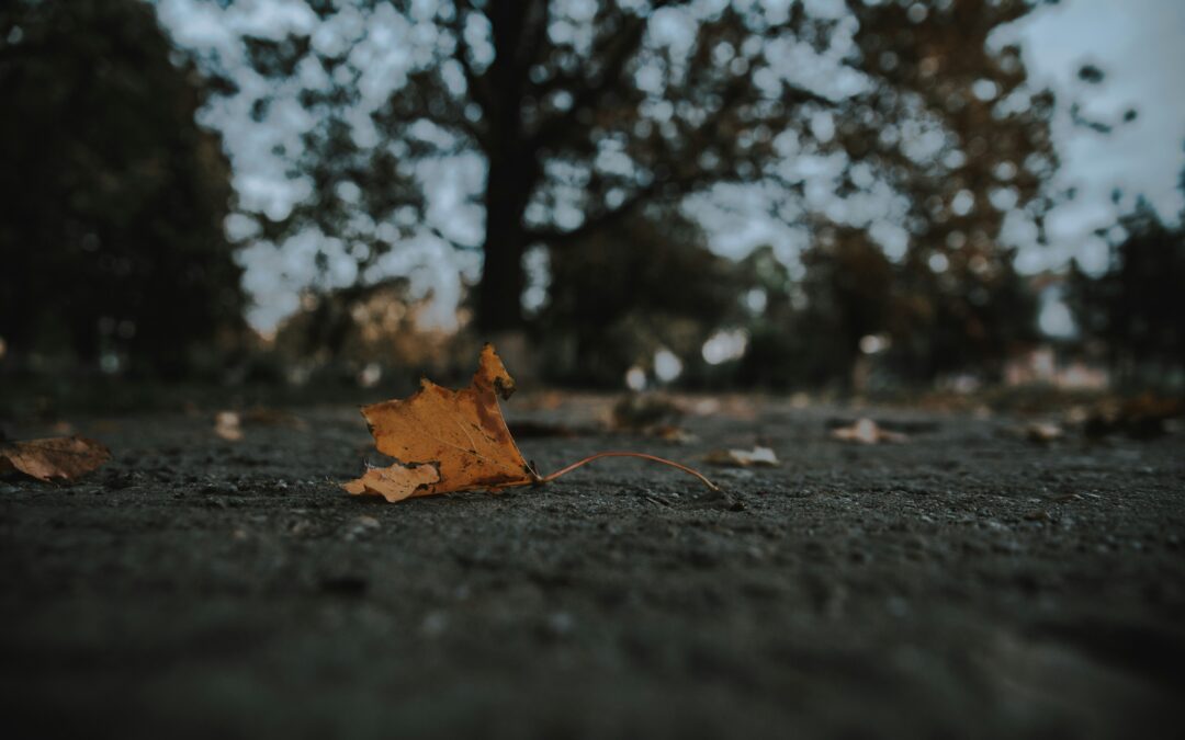 Seasonal Drug and Alcohol Use: Understanding Increased Rates During the Holidays