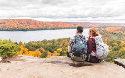 Fall Recovery Activities